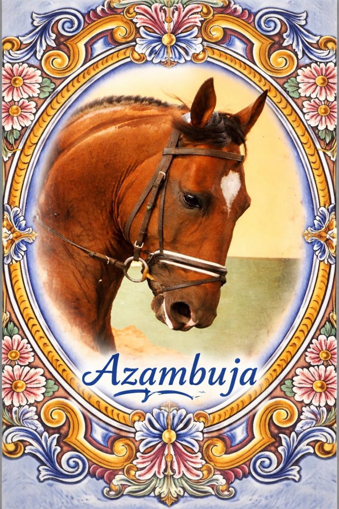 Lembranças azulejos ceramicos